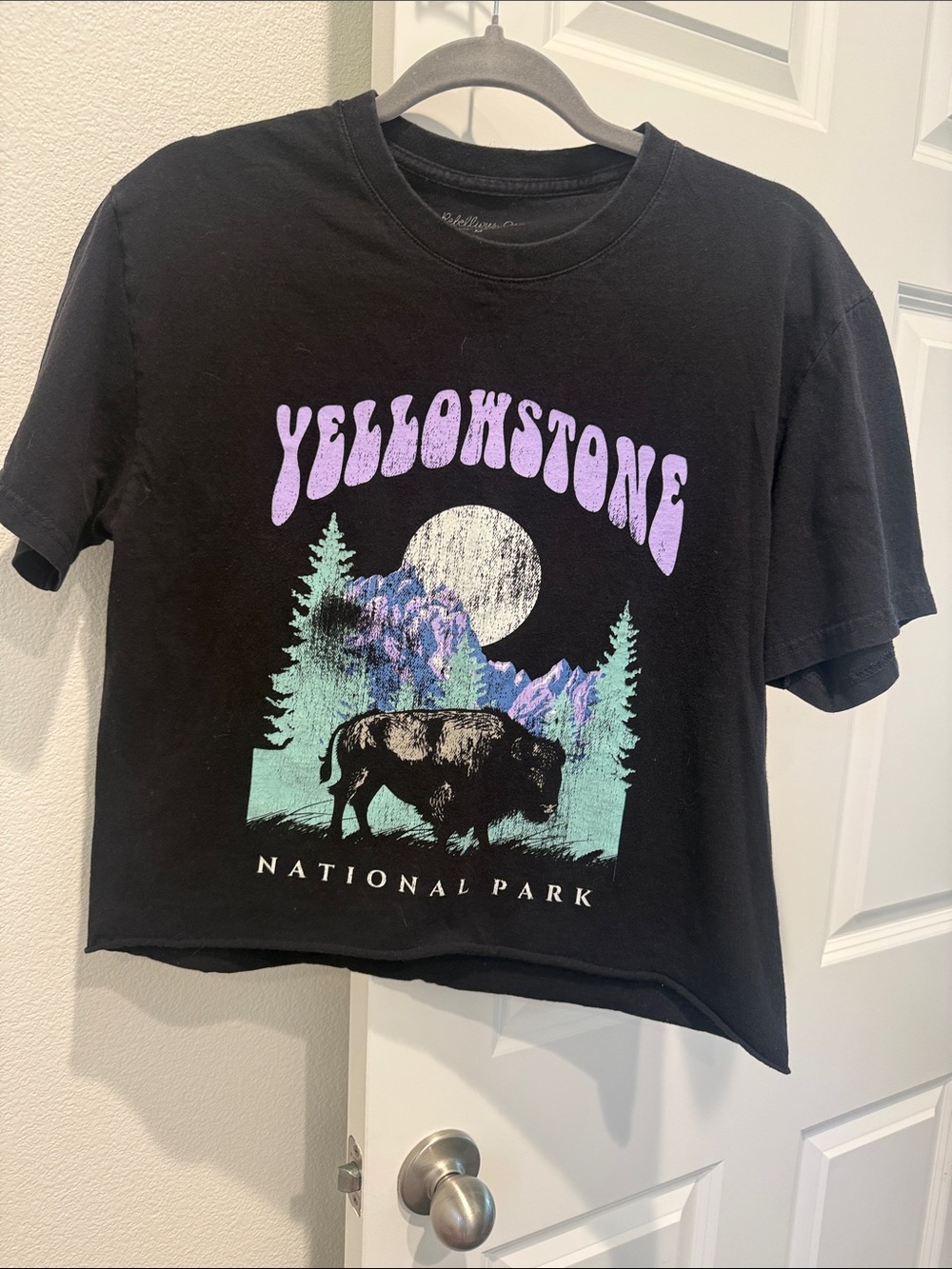 Yellowstone Graphic Crop Tee